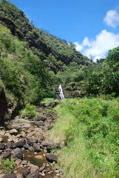 2007_05_30_HAWAII (84) (Large).JPG